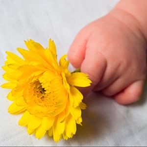 Meet your Posher, Ana